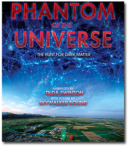 Phanton of the Universe